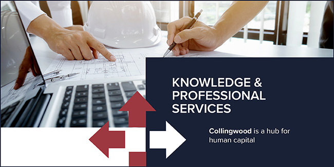 Collingwood is hub for human capital